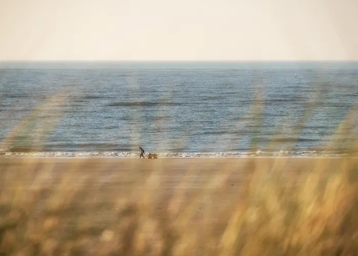 Spiekerhorst Дом отдыха